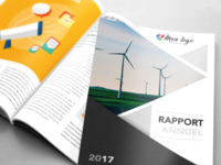 Informes de actividad y balances de empresa