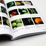 Revistas publicitarias